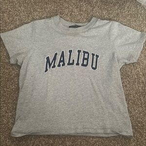 Brandy Melville Gray Crop Top Malibu